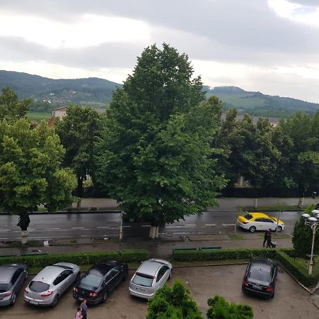 Apartament Posada Curtea de Argeş Buitenkant foto